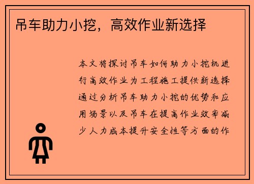 吊车助力小挖，高效作业新选择